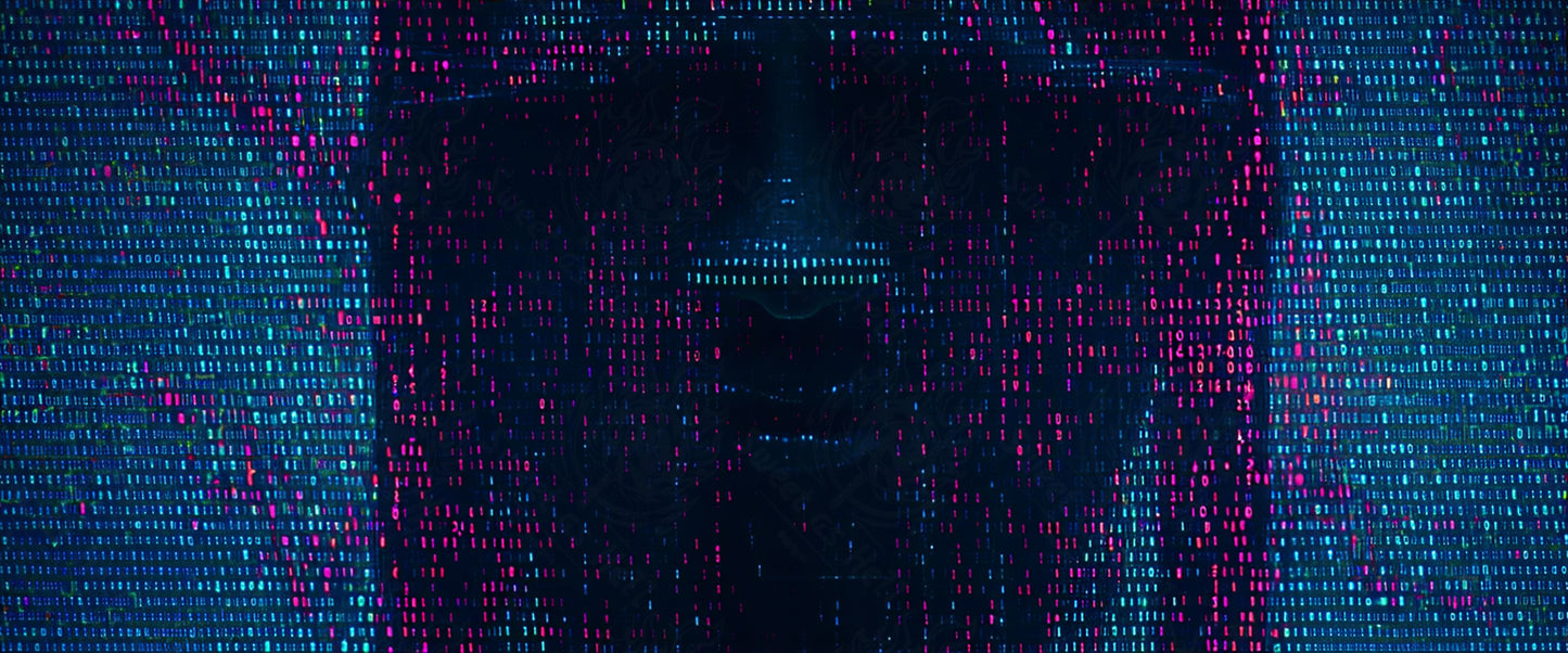Código binario de cara digital SN3233
