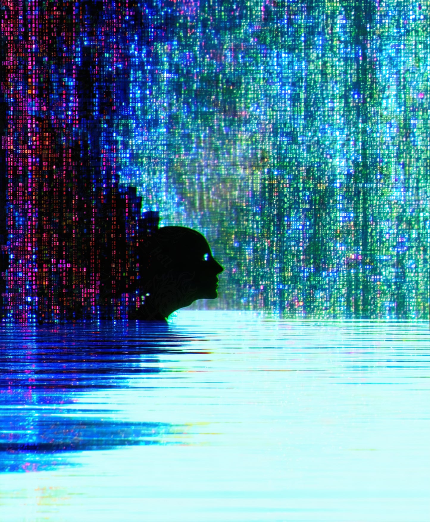 Reflexión digital en el mar binario SN3291